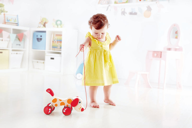 Hape walk along puppy best sale