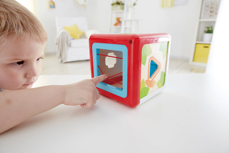 Hape Shape Sorting Box