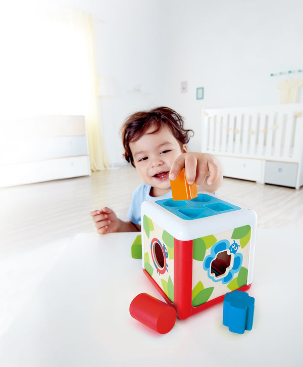 Hape Shape Sorting Box