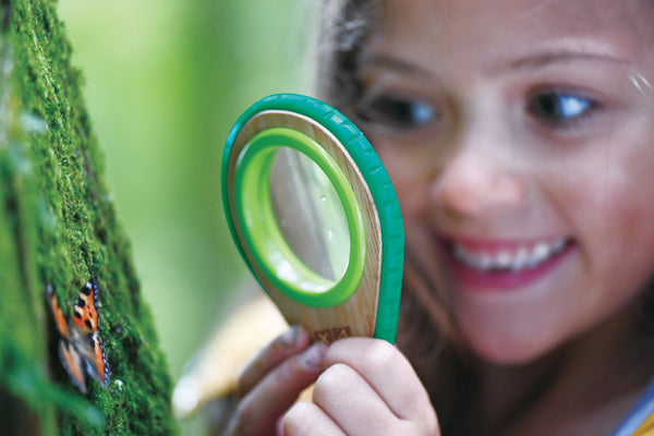 Hape Nature Detective Set