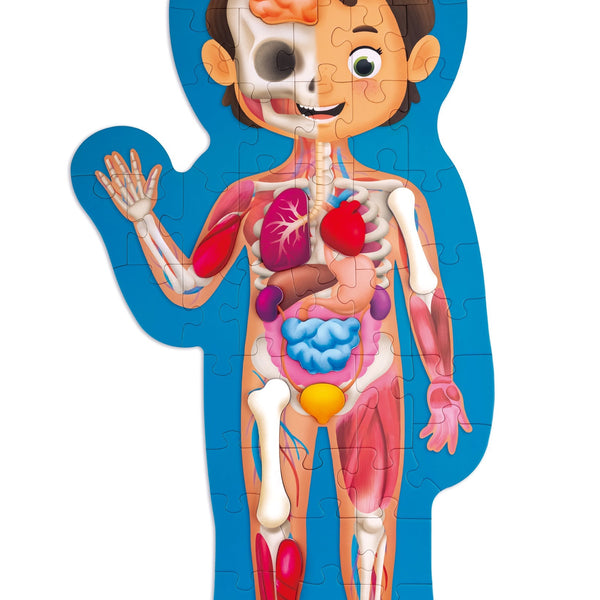Hape your body puzzle sale